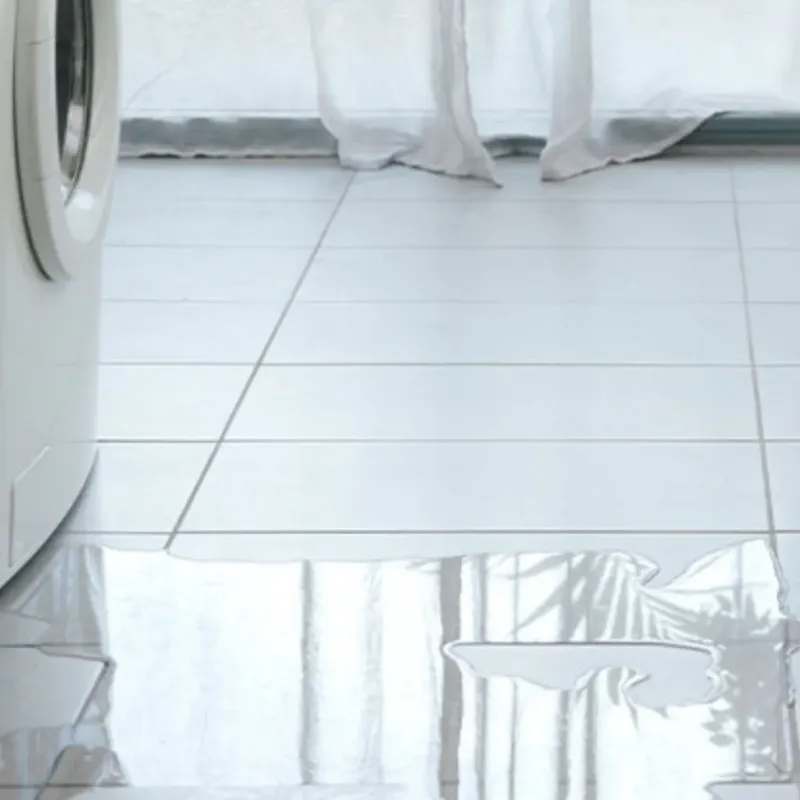 Appliance Leak Cleanup in Peabody, KS