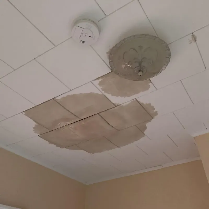 Ceiling Water Damage Repair in Peabody, KS