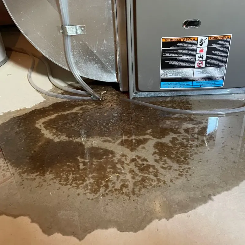 Pipe Burst and Leak Restoration in Peabody, KS