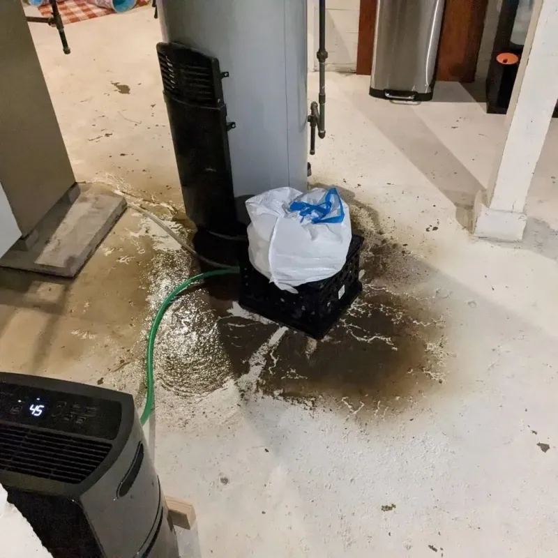 Sewage Backup Cleanup Service in Peabody, KS